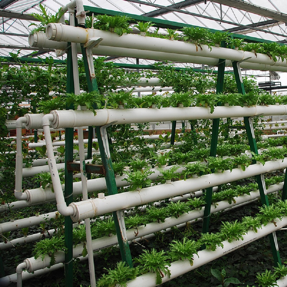 ชั้นวางอุปกรณ์ปลูกพืชไร้ดินแนว - Vertical Planter Tower บทวิจารณ์และราคา