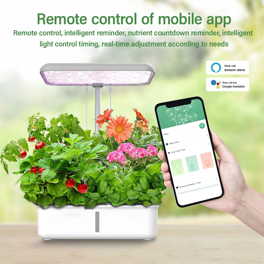 Tuya ไวไฟเครื่องปลูกต้นไม้ไฮโด - Smart Garden Click And Grow บทวิจารณ์และราคา