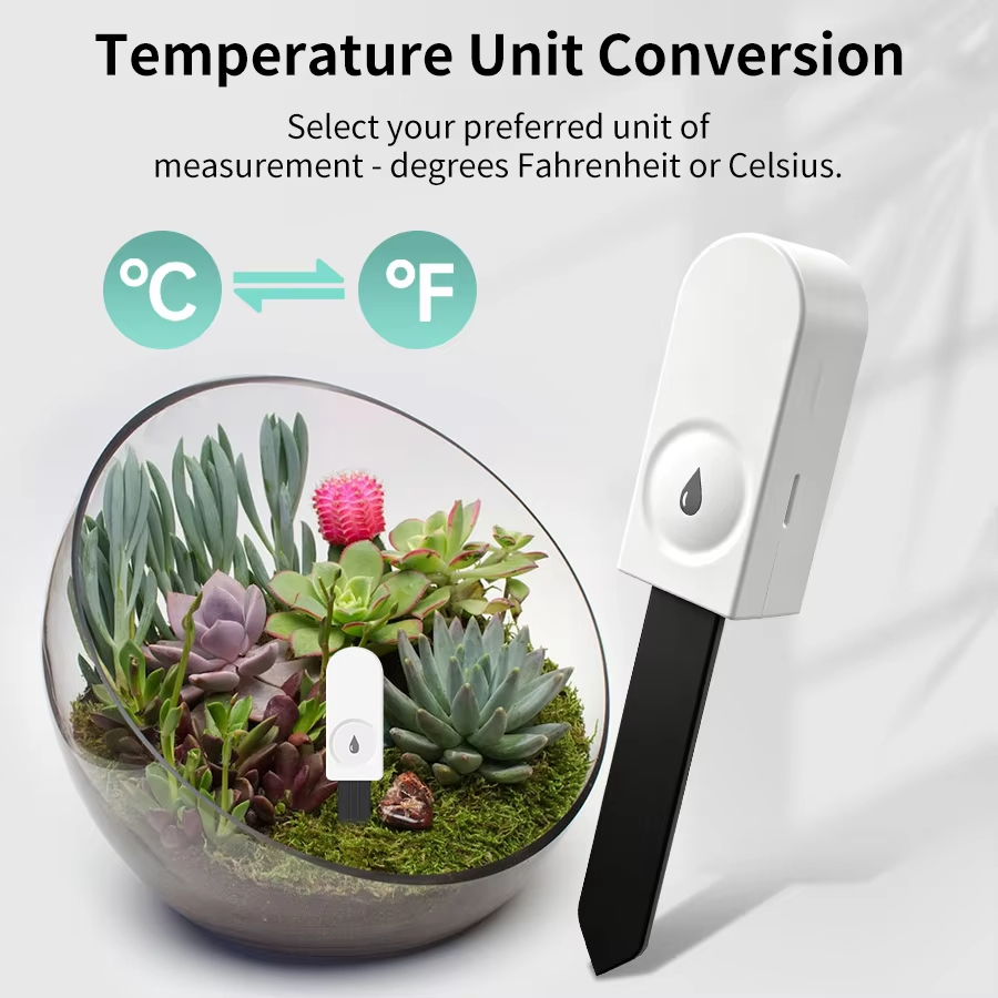 เครื่องวัดความชื้นในดิน Zigbee - Smart Garden Tools บทวิจารณ์และราคา