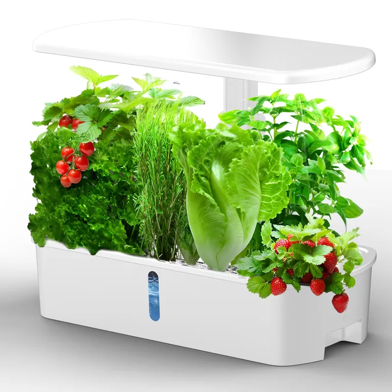 ระบบปลูกผักไฮโดรโพนิกส์ในร่ม I - Smart Garden Igs 61 บทวิจารณ์และราคา