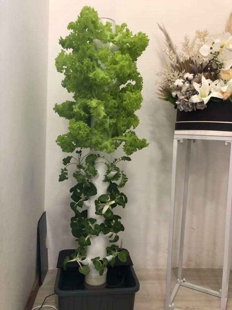 หอปลูกพืชแนวตั้งแบบไฮโดรโปนิกส - Vertical Planter Tower บทวิจารณ์และราคา